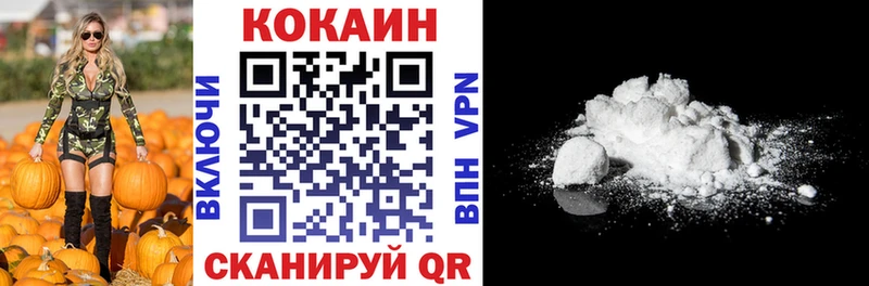 Кокаин Fish Scale  кракен ТОР  Северская  где купить наркоту 