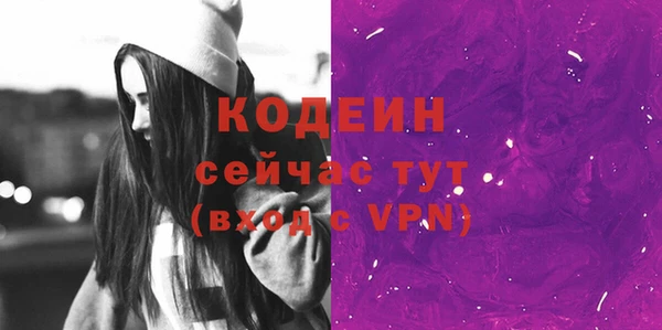 метадон Богданович