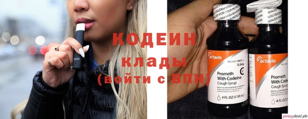 метадон Богданович