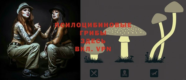 метадон Богданович