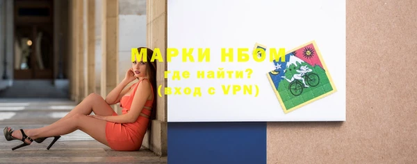 метадон Богданович